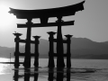 Grand Torii à Miyajima - Japon