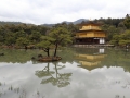 Kinkaku-ji Japon