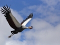 Parc des oiseaux à Villars les Dombes